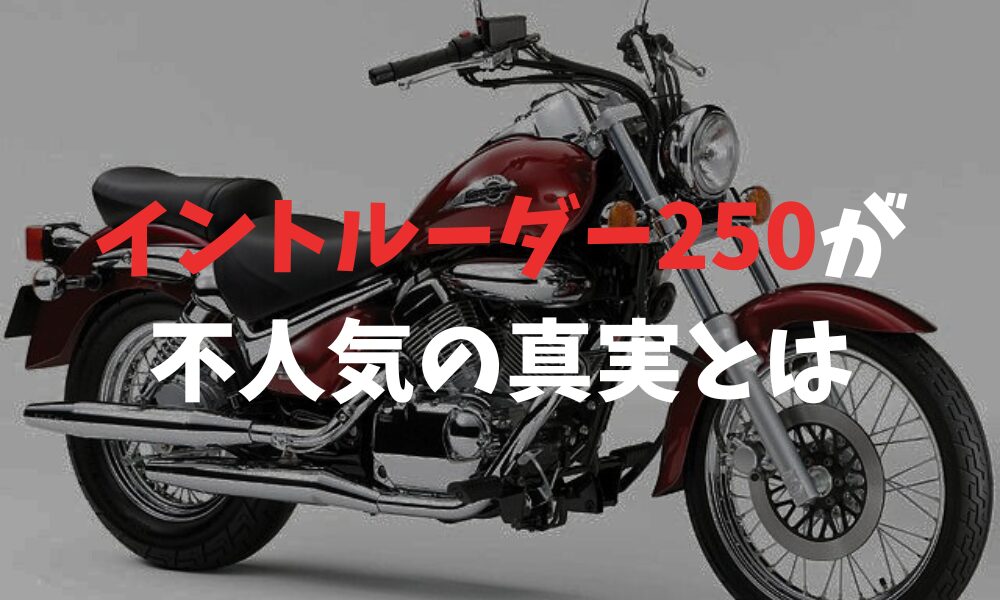 イントルーダー 250が不人気の真相と愛される理由を詳しく解説 