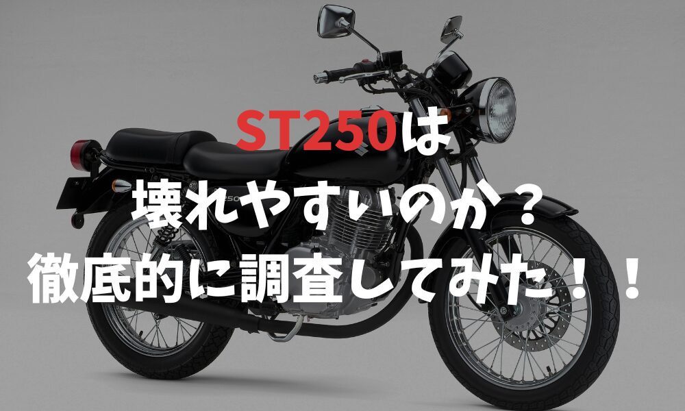 人気車 バリオス2 シンプルカスタム 編も 